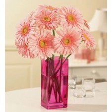 1 Dozen Peach Gerbera in a Vase